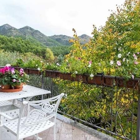 B&B Sant'Andrea 莫拉诺卡拉布罗 外观 照片